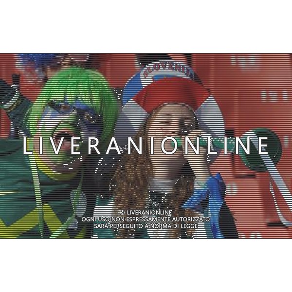 18/06/2010 johannesburg sudafrica world cup fifa 2010 SUDAFRICA CALCIO SPORT GRUPPO C: SLOVENIA - STATI UNITI MATCH 22 nella foto tifosi ph Vitez/AG ALDO LIVERANI SAS