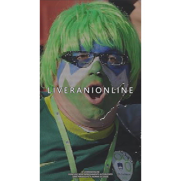 18/06/2010 johannesburg sudafrica world cup fifa 2010 SUDAFRICA CALCIO SPORT GRUPPO C: SLOVENIA - STATI UNITI MATCH 22 nella foto tifosi ph Vitez/AG ALDO LIVERANI SAS