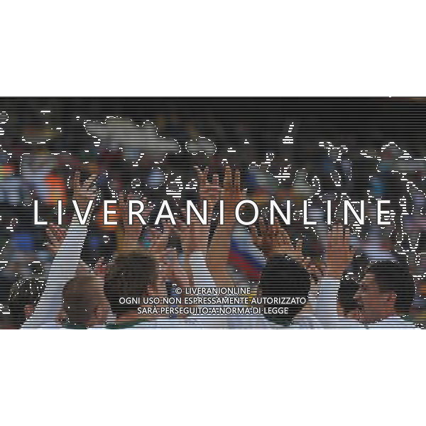 Fifa World Cup Sud Africa 2010 Match #22 Johannesburg (Ellis Park Stadium) - 18.06.2010 Slovenia-USA Nella Foto:esultanza birsa /Ph.Vitez-Ag. Aldo Liverani