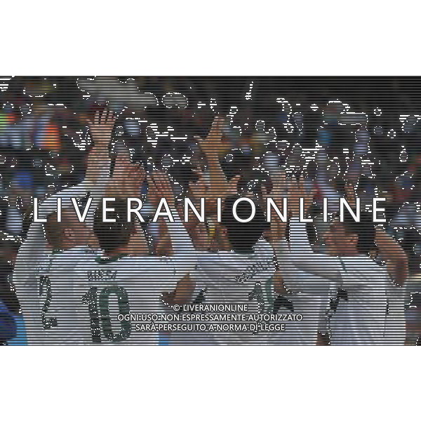 Fifa World Cup Sud Africa 2010 Match #22 Johannesburg (Ellis Park Stadium) - 18.06.2010 Slovenia-USA Nella Foto:esultanza birsa /Ph.Vitez-Ag. Aldo Liverani