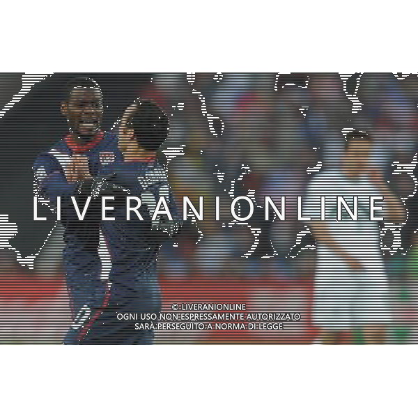 Fifa World Cup Sud Africa 2010 Match #22 Johannesburg (Ellis Park Stadium) - 18.06.2010 Slovenia-USA Nella Foto:ESULTANZA USA /Ph.Vitez-Ag. Aldo Liverani