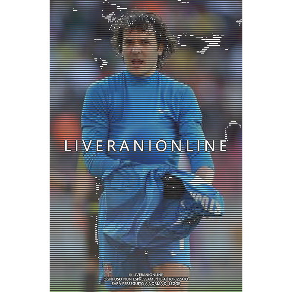 CALCIO SPORT 18.06.2010 WM 2010 Sudafrika 2010 FIFA WORLD CUP SOUTH AFRICA, Spiel 21, Match 21, germania serbia GER-SRB, Germany-Serbia, Deutschland-Serbien, 0:1 nella foto Vladimir STOJKOVIC ph firo/ AG ALDO LIVERANI SAS ONLY ITALY