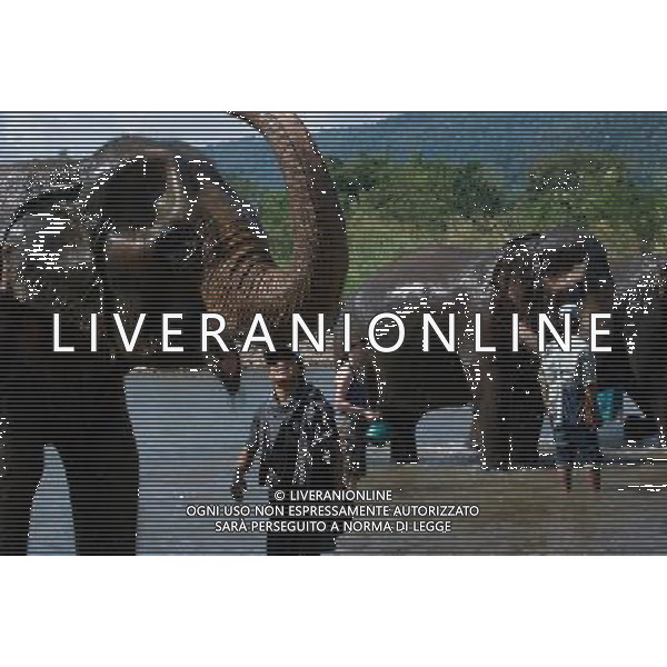 NORD THAILANDIA CHIANG MAI PARCO NATURALE ELEPHANT 2010 NELLA FOTO GLI ELEFANTI DEL PARCO SONO STATI UTILIZZATI NEI LAVORI NELLA FORESTA I TURISTI NELLA MATTINA LI LAVANO Newspix.pl *** Local Caption *** www.newspix.pl AG ALDO LIVERANI-ONLY ITALY