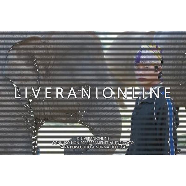 NORD THAILANDIA CHIANG MAI PARCO NATURALE ELEPHANT 2010 NELLA FOTO ELEFANTI NEL PARCO WENTA EWA / NEWSPIX.PL/ALIVERANI ONLY ITALY