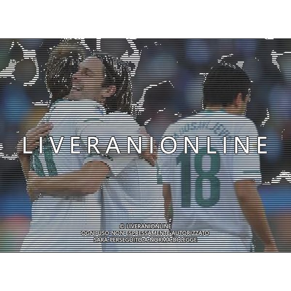 Fifa World Cup Sud Africa 2010 Match #22 Johannesburg (Ellis Park Stadium) - 18.06.2010 Slovenia-USA Nella Foto:Valter BIRSA-Marko SULER /Ph.Vitez-Ag. Aldo Liverani