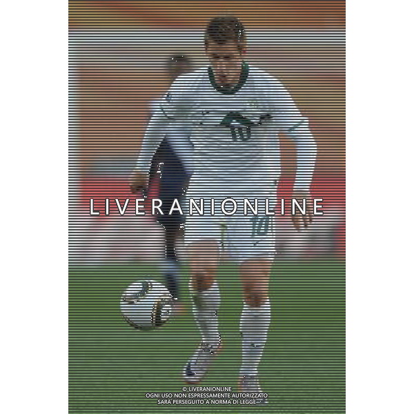 Fifa World Cup Sud Africa 2010 Match #22 Johannesburg (Ellis Park Stadium) - 18.06.2010 Slovenia-USA Nella Foto:Valter BIRSA /Ph.Vitez-Ag. Aldo Liverani