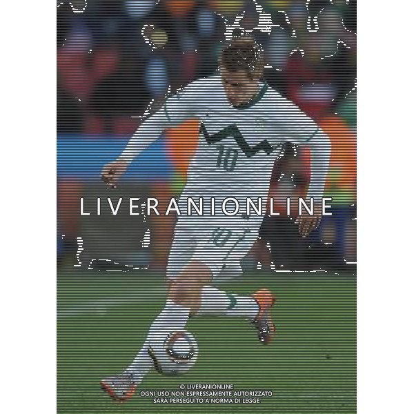 Fifa World Cup Sud Africa 2010 Match #22 Johannesburg (Ellis Park Stadium) - 18.06.2010 Slovenia-USA Nella Foto:Valter BIRSA /Ph.Vitez-Ag. Aldo Liverani