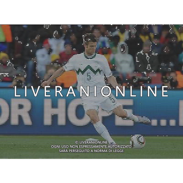 Fifa World Cup Sud Africa 2010 Match #22 Johannesburg (Ellis Park Stadium) - 18.06.2010 Slovenia-USA Nella Foto:Bostjan CESAR /Ph.Vitez-Ag. Aldo Liverani