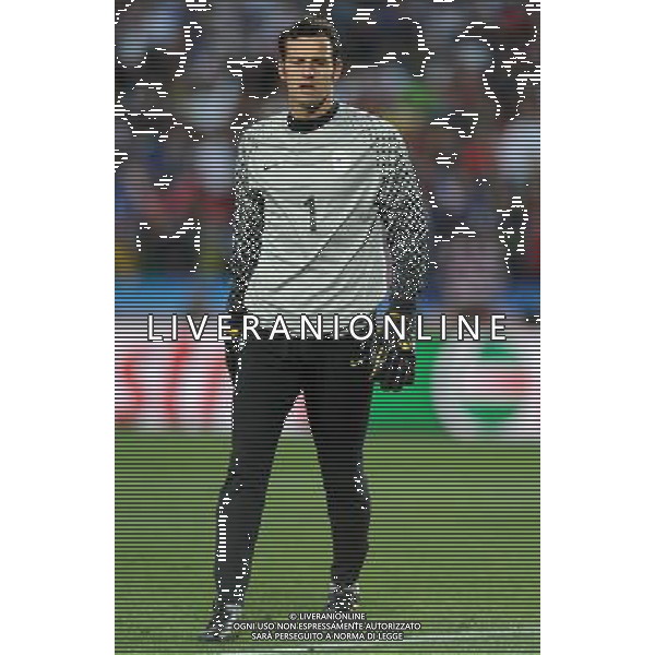 Fifa World Cup Sud Africa 2010 Match #22 Johannesburg (Ellis Park Stadium) - 18.06.2010 Slovenia-USA Nella Foto:Samir HANDANOVIC /Ph.Vitez-Ag. Aldo Liverani