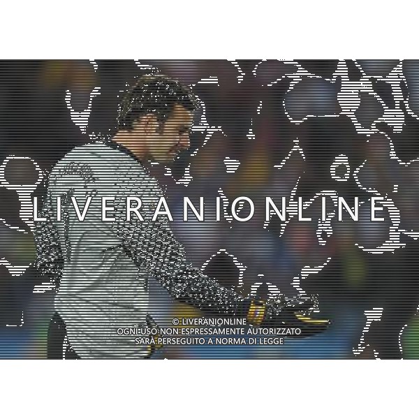 Fifa World Cup Sud Africa 2010 Match #22 Johannesburg (Ellis Park Stadium) - 18.06.2010 Slovenia-USA Nella Foto:Samir HANDANOVIC /Ph.Vitez-Ag. Aldo Liverani