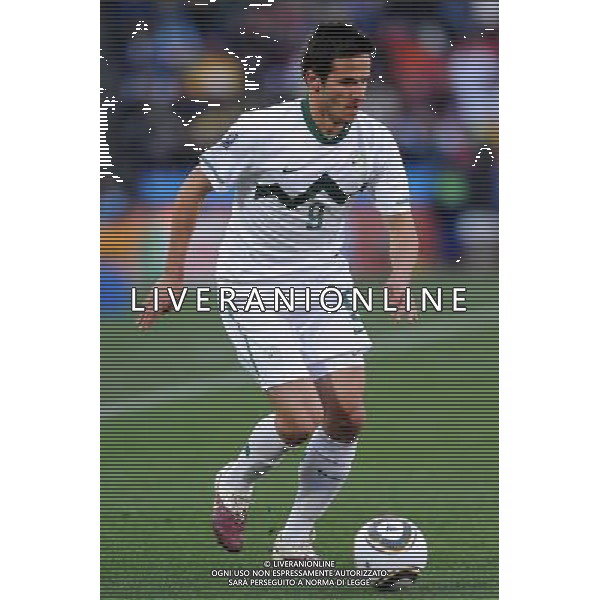 Fifa World Cup Sud Africa 2010 Match #22 Johannesburg (Ellis Park Stadium) - 18.06.2010 Slovenia-USA Nella Foto:Zlatan LJUBIJANKIC /Ph.Vitez-Ag. Aldo Liverani