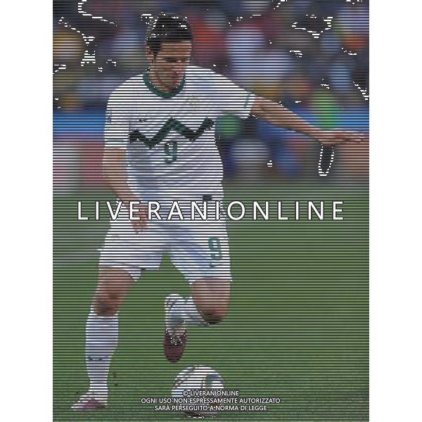 Fifa World Cup Sud Africa 2010 Match #22 Johannesburg (Ellis Park Stadium) - 18.06.2010 Slovenia-USA Nella Foto:Zlatan LJUBIJANKIC /Ph.Vitez-Ag. Aldo Liverani