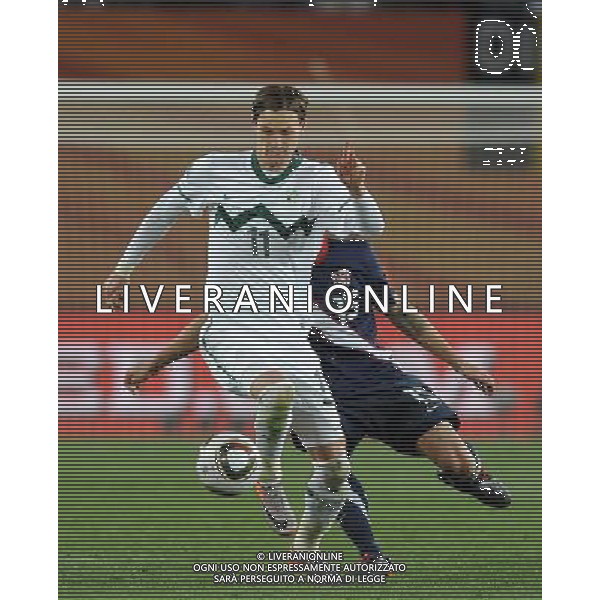 Fifa World Cup Sud Africa 2010 Match #22 Johannesburg (Ellis Park Stadium) - 18.06.2010 Slovenia-USA Nella Foto:Milivoje NOVAKOVIC /Ph.Vitez-Ag. Aldo Liverani