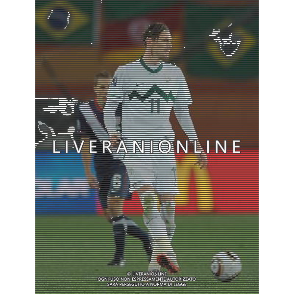 Fifa World Cup Sud Africa 2010 Match #22 Johannesburg (Ellis Park Stadium) - 18.06.2010 Slovenia-USA Nella Foto:Milivoje NOVAKOVIC /Ph.Vitez-Ag. Aldo Liverani