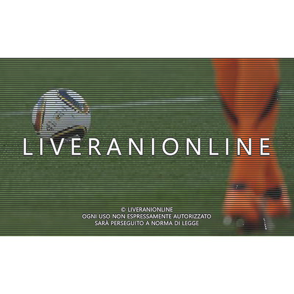 Fifa World Cup Sud Africa 2010 Match #22 Johannesburg (Ellis Park Stadium) - 18.06.2010 Slovenia-USA Nella Foto:Pallone /Ph.Vitez-Ag. Aldo Liverani