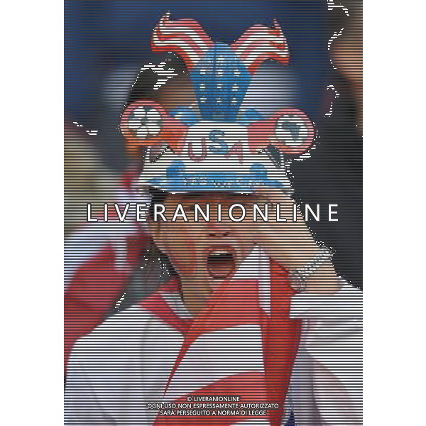 Fifa World Cup Sud Africa 2010 Match #22 Johannesburg (Ellis Park Stadium) - 18.06.2010 Slovenia-USA Nella Foto:Tifosi /Ph.Vitez-Ag. Aldo Liverani