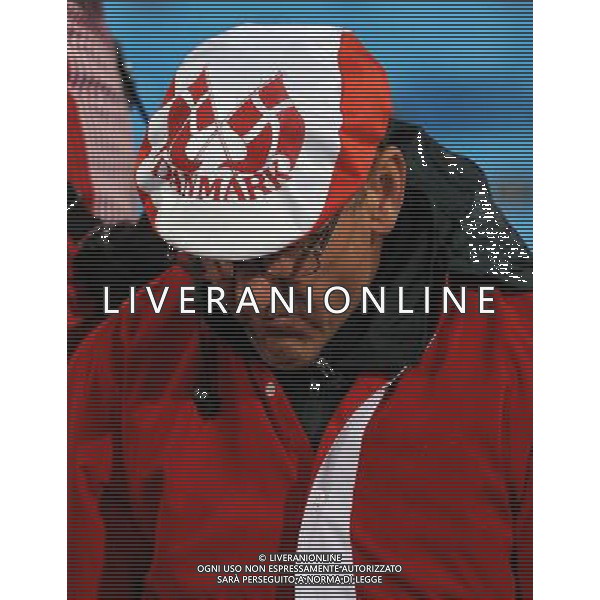 Fifa World Cup Sud Africa 2010 Match #26 Tshwane/Pretoria (Lotus Versfeld Stadium) - 19.06.2010 Camerun-Danimarca Nella Foto:Tifosi /Ph.Vitez-Ag. Aldo Liverani