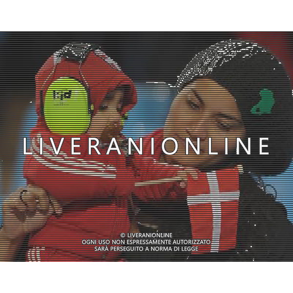 Fifa World Cup Sud Africa 2010 Match #26 Tshwane/Pretoria (Lotus Versfeld Stadium) - 19.06.2010 Camerun-Danimarca Nella Foto:Tifosi /Ph.Vitez-Ag. Aldo Liverani