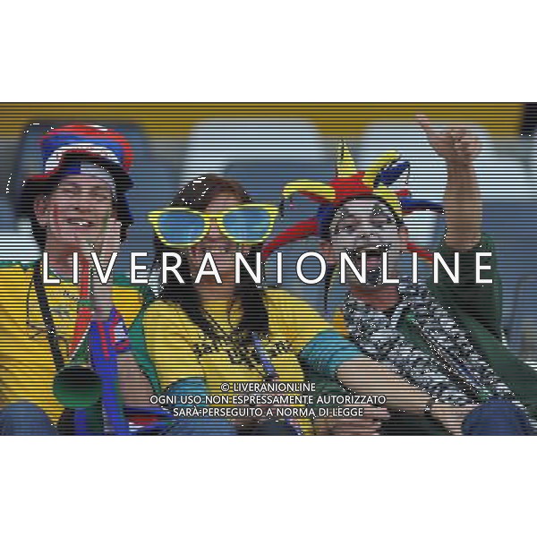 Fifa World Cup Sud Africa 2010 Match #28 Nelspruit (Mbombela Stadium) - 20.06.2010 Italia-Nuova Zelanda Nella Foto:Tifosi /Ph.Vitez-Ag. Aldo Liverani