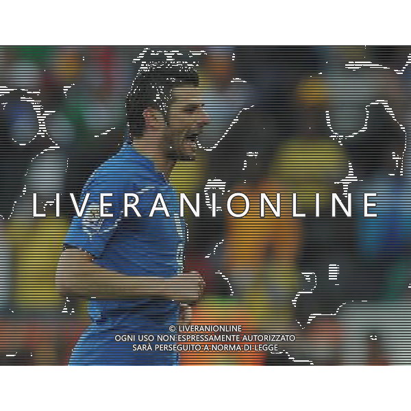 Fifa World Cup Sud Africa 2010 Match #28 Nelspruit (Mbombela Stadium) - 20.06.2010 Italia-Nuova Zelanda Nella Foto:esultanza di vincenzo iaquinta dopo il gol su rigore /Ph.Vitez-Ag. Aldo Liverani