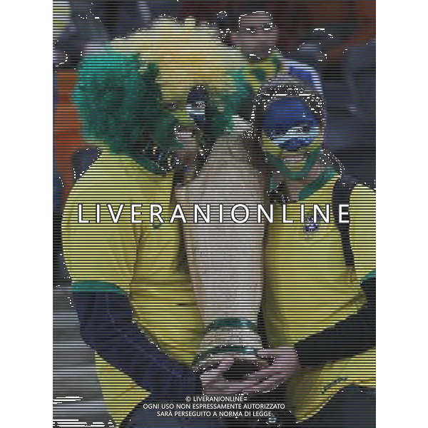 BRASILE - COSTA D\'AVORIO CAMPIONATI MONDIALI SUDAFRICA 2010 FIFA WORLD CUP SOUTH AFRICA,20/06/2010 Match 29, NELLA FOTO TIFOSI copyright by firo sportphoto/AGENZIA ALDO LIVERANI SAS ITALY ONLY - EDITORIAL USE ONLY 