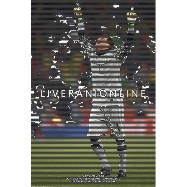 BRASILE - COSTA D\'AVORIO CAMPIONATI MONDIALI SUDAFRICA 2010 FIFA WORLD CUP SOUTH AFRICA,20/06/2010 Match 29, NELLA FOTO ESULTANZA DI JULIO CESAR copyright by firo sportphoto/AGENZIA ALDO LIVERANI SAS ITALY ONLY - EDITORIAL USE ONLY 