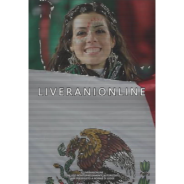 (100618) -- POLOKWANE, June 18, 2010 -- A Mexico\'s fan reacts during a 2010 World Cup Group A match between Mexico and France at the Peter Mokaba stadium in Polokwan, South Africa, on June 17, 2010. Mexico won 2-0. Li Ga) (kh) ©Photoshot/Agenzia Aldo Liverani Sas - ITALY ONLY: FRANCIA - MESSICO FIFA WORLD CUP CAMPIONATI MONDIALI SUD AFRICA 2010
