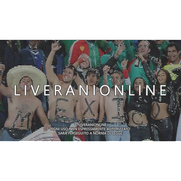 (100618) -- POLOKWANE, June 18, 2010 -- Mexico\'s fans cheer during a 2010 World Cup Group A match between Mexico and France at the Peter Mokaba stadium in Polokwan, South Africa, on June 17, 2010. Mexico won 2-0. Li Ga) (kh) ©Photoshot/Agenzia Aldo Liverani Sas - ITALY ONLY: FRANCIA - MESSICO FIFA WORLD CUP CAMPIONATI MONDIALI SUD AFRICA 2010
