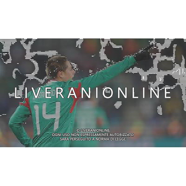 (100618) -- POLOKWANE, June 18, 2010 -- Mexico\'s Javier Hernandez celebrates his scoring during a 2010 World Cup Group A match against France at the Peter Mokaba stadium in Polokwan, South Africa, on June 17, 2010. Mexico won 2-0. Li Ga) (kh) ©Photoshot/Agenzia Aldo Liverani Sas - ITALY ONLY: FRANCIA - MESSICO FIFA WORLD CUP CAMPIONATI MONDIALI SUD AFRICA 2010