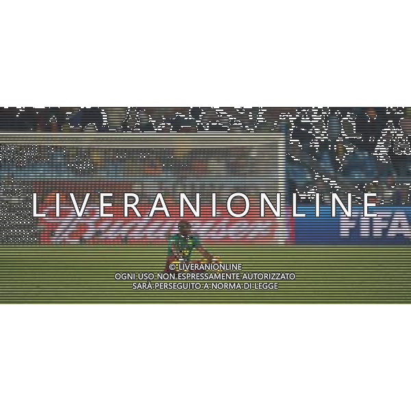 (100620) -- TSHWANE, June 20, 2010 () --Stephane Mbia of Cameroon reacts after the 2010 World Cup Group E soccer match against Denmark at Loftus Verfeld stadium in Tshwane, South Africa, on June 19, 2010. Denmark won 2-1. (/Yang Lei)(dl) ©Photoshot/Agenzia Aldo Liverani Sas - ITALY ONLY - CAMERUN - DANIMARCA FIFA WORLD CUP CAMPIONATI MONDIALI SUD AFRICA 2010