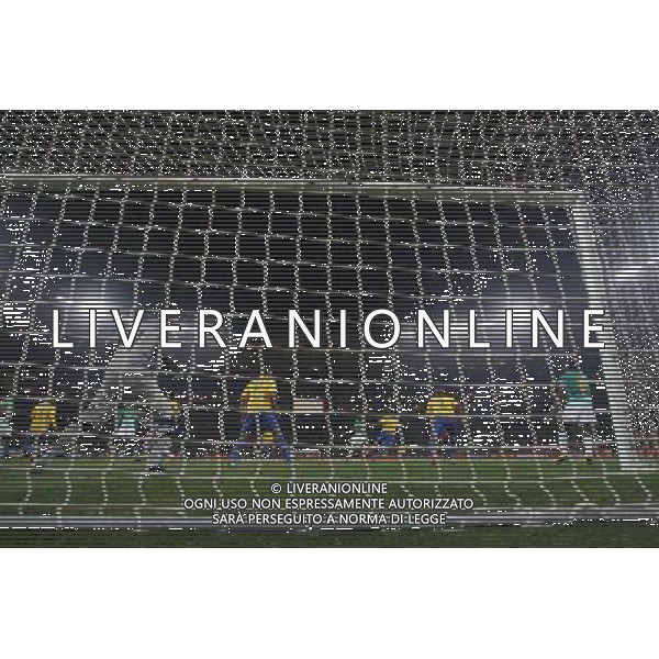 CALCIO SPORT 20.06.2010 MONDIALI DI CALCIO 2010 WM 2010 Sudafrika 2010 FIFA WORLD CUP SOUTH AFRICA, BRASILE COSTA D\'AVORIO Match 29, BRA-CIV, Brazil-Cote dlvoire, Brasilien-ElfenbeinkŸste, 3:1 nella foto PANORAMICA ©FIRO/ALDO LIVERANI ONLY ITALY