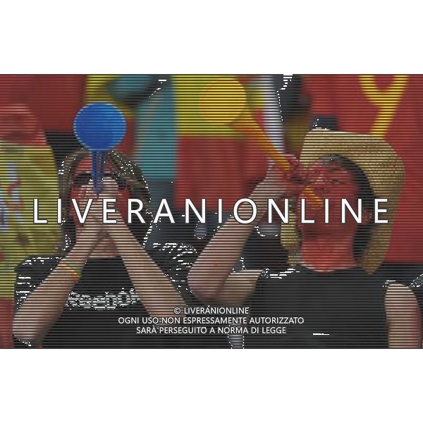 SPAGNA - HONDURAS FIFA WORLD CUP CAMPIONATI MONDIALI SUD AFRICA 21/06/2010 NELLA FOTO TIFOSI ©VITEZ/AGENZIA ALDO LIVERANI SAS