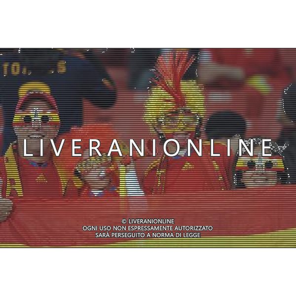 SPAGNA - HONDURAS FIFA WORLD CUP CAMPIONATI MONDIALI SUD AFRICA 21/06/2010 NELLA FOTO TIFOSI ©VITEZ/AGENZIA ALDO LIVERANI SAS