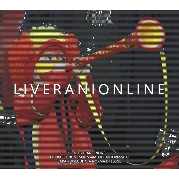 SPAGNA - HONDURAS FIFA WORLD CUP CAMPIONATI MONDIALI SUD AFRICA 21/06/2010 NELLA FOTO TIFOSI ©VITEZ/AGENZIA ALDO LIVERANI SAS