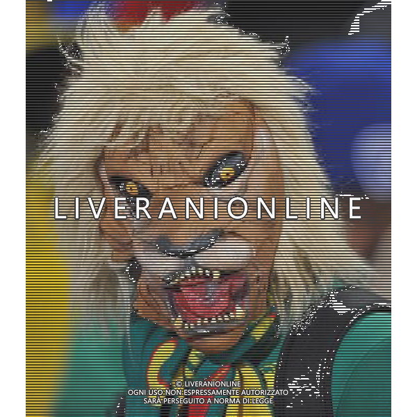 (100620) -- TSHWANE, June 20, 2010 () -- A fan cheers for Cameroon prior to the 2010 World Cup Group E soccer match between Cameroon and Denmark at Loftus Verfeld stadium in Tshwane, South Africa, on June 19, 2010. (/Yang Lei)(dl) ©Photoshot/Agenzia Aldo Liverani Sas - ITALY ONLY: CAMERUN - DANIMARCA FIFA WORLD CUP CAMPIONATI MONDIALI SUD AFRICA 2010