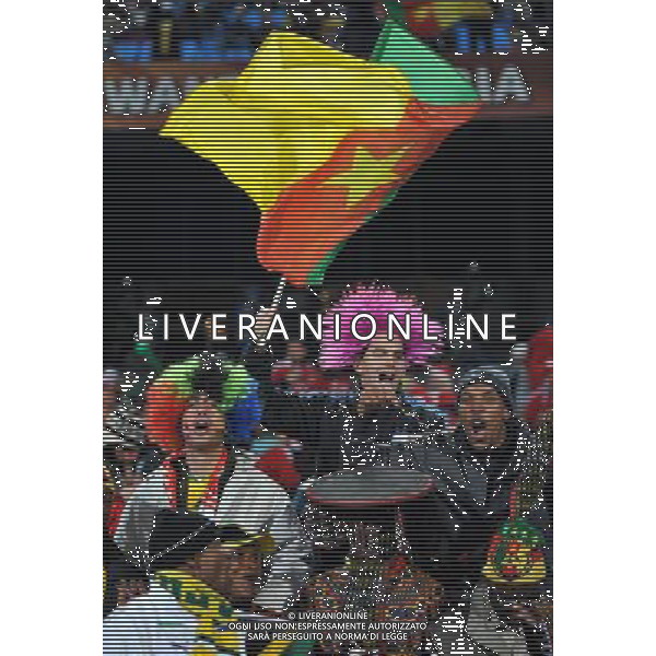 (100620) -- TSHWANE, June 20, 2010 () -- Fans cheer for Cameroon prior to the 2010 World Cup Group E soccer match between Cameroon and Denmark at Loftus Verfeld stadium in Tshwane, South Africa, on June 19, 2010. (/Yang Lei)(dl) ©Photoshot/Agenzia Aldo Liverani Sas - ITALY ONLY: CAMERUN - DANIMARCA FIFA WORLD CUP CAMPIONATI MONDIALI SUD AFRICA 2010