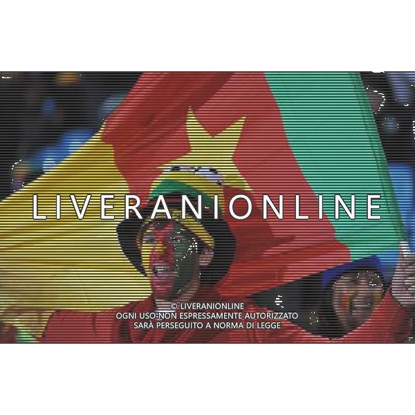 (100620) -- TSHWANE, June 20, 2010 () -- A fan cheers with a Cameroon national flag prior to the 2010 World Cup Group E soccer match between Cameroon and Denmark at Loftus Verfeld stadium in Tshwane, South Africa, on June 19, 2010. (/Yang Lei)(fym) ©Photoshot/Agenzia Aldo Liverani Sas - ITALY ONLY: CAMERUN - DANIMARCA FIFA WORLD CUP CAMPIONATI MONDIALI SUD AFRICA 2010