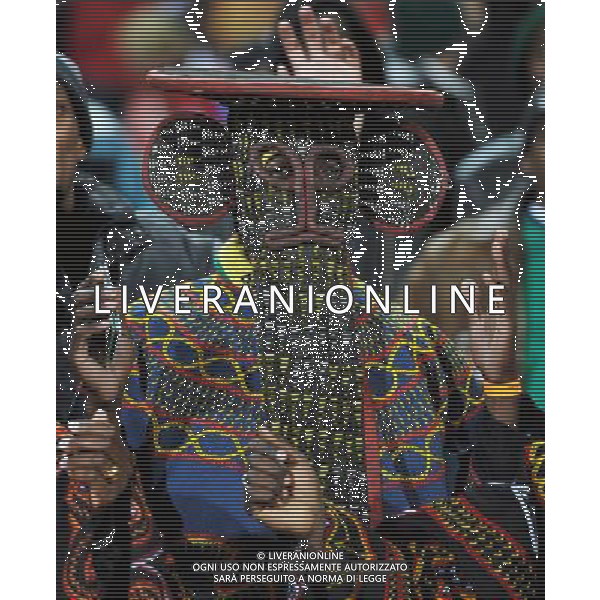 (100620) -- TSHWANE, June 20, 2010 () -- A fan cheers for Cameroon prior to the 2010 World Cup Group E soccer match between Cameroon and Denmark at Loftus Versfeld stadium in Tshwane, South Africa, June 19, 2010. (/Wang Yuguo) (ly) ©Photoshot/Agenzia Aldo Liverani Sas - ITALY ONLY: CAMERUN - DANIMARCA FIFA WORLD CUP CAMPIONATI MONDIALI SUD AFRICA 2010