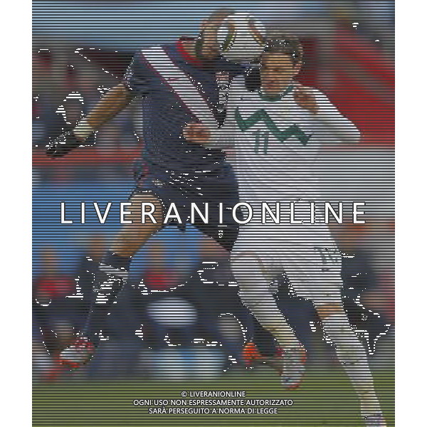 U.S.\' Oguchi ONYEWU (L) vies for the ball with Slovenia\'s Milivoje NOVAKOVIC (R) during the World Cup group C soccer match between USA and Slovenia in Johannesburg in South Africa on Friday, June 18, 2010. The match ended in a 2-2 draw.(Photo By Wei Zheng/ColorChinaPhoto) - Ag. Aldo Liverani sas ITALY ONLY SLOVENIA - STATI UNITI FIFA WORLD CUP CAMPIONATI MONDIALI SUD AFRICA 2010
