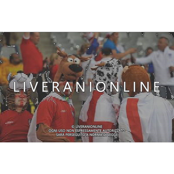 (100619) -- CAPE TOWN, June 19, 2010 -- Fans wait for the start of the 2010 World Cup Group C match between England and Algeria in Cape Town, South Africa, June 18, 2010. Xu Suhui)(txy) ©Photoshot/Agenzia Aldo Liverani Sas - ITALY ONLY: INGHILTERRA - ALGERIA FIFA WORLD CUP CAMPIONATI MONDIALI SUD AFRICA 2010