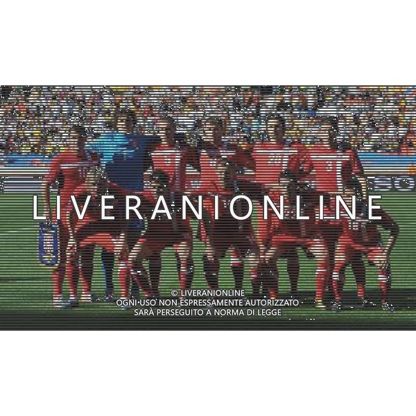 (100618) -- PORT ELIZABETH, June 18, 2010 -FORMAZIONE SERBIA - The Serbian line-ups pose for a photo prior to the 2010 World Cup Group D soccer match against Germany at the Nelson Mandela Bay stadium in Port Elizabeth, South Africa, on June 18, 2010. Serbia won 1-0. Yang Lei) (zc) ©Photoshot/Agenzia Aldo Liverani Sas - ITALY ONLY: GERMANIA - SERBIA FIFA WORLD CUP CAMPIONATI MONDIALI SUD AFRICA 2010