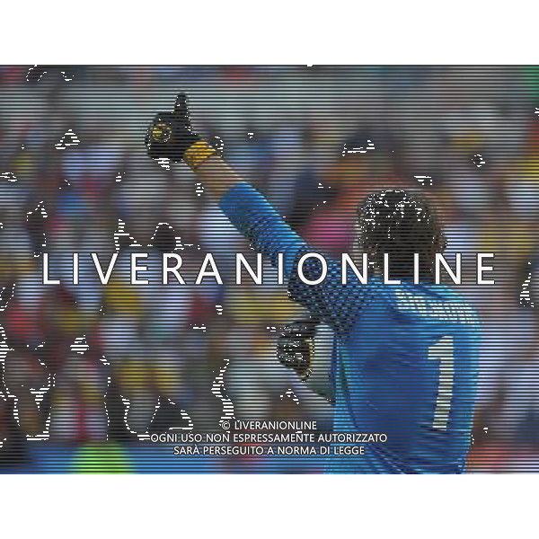 (100618) -- PORT ELIZABETH, June 18, 2010 -- Serbia\'s goalkeeper Vladimir Stojkovic gestures during the 2010 World Cup Group D soccer match between Germany and Serbia at the Nelson Mandela Bay stadium in Port Elizabeth, South Africa, on June 18, 2010. Serbia won 1-0.Yang Lei) ©Photoshot/Agenzia Aldo Liverani Sas - ITALY ONLY: GERMANIA - SERBIA FIFA WORLD CUP CAMPIONATI MONDIALI SUD AFRICA 2010