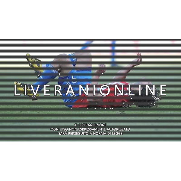 (100620) -- BLOEMFONTEIN, June 20, 2010 () -- Paraguay\'s Roque Santa Cruz falls during the 2010 World Cup Group F football match against Slovakia at Free State Stadium in Bloemfontein, South Africa, on June 20, 2010. Paraguay won 2-0. (/Li Ga)(kh) ©Photoshot/Agenzia Aldo Liverani Sas - ITALY ONLY: PARAGUAY - SLOVACCHIA FIFA WORLD CUP CAMPIONATI MONDIALI SUD AFRICA 2010