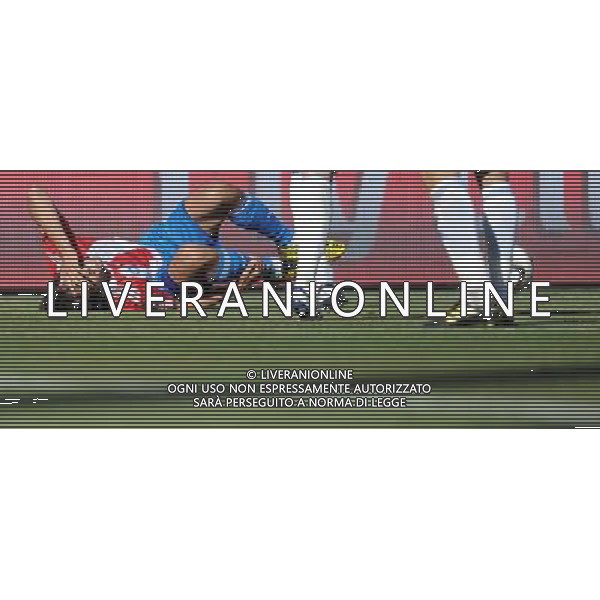 (100620) -- BLOEMFONTEIN, June 20, 2010 () -- Paraguay\'s Roque Santa Cruz falls during the 2010 World Cup Group F football match against Slovakia at Free State Stadium in Bloemfontein, South Africa, on June 20, 2010. Paraguay won 2-0. (/Li Ga)(kh) ©Photoshot/Agenzia Aldo Liverani Sas - ITALY ONLY: PARAGUAY - SLOVACCHIA FIFA WORLD CUP CAMPIONATI MONDIALI SUD AFRICA 2010