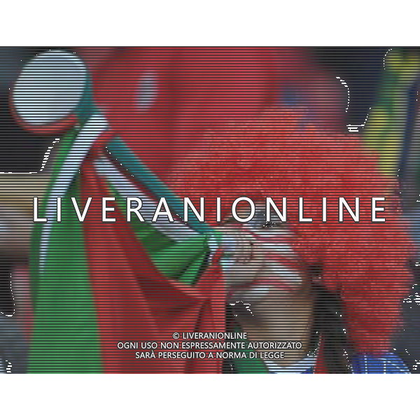 (100618) -- JOHANNESBURG, June 18, 2010 -- A Slovenian supporter cheers prior to the 2010 World Cup Group C soccer match between the United States and Slovenia at the Ellis Park stadium in Johannesburg, South Africa, on June 18, 2010. Wang Yuguo) (zc) ©Photoshot/Agenzia Aldo Liverani Sas - ITALY ONLY: SLOVENIA - STATI UNITI (USA) FIFA WORLD CUP CAMPIONATI MONDIALI SUD AFRICA 2010