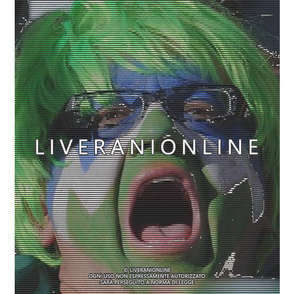 (100618) -- JOHANNESBURG, June 18, 2010 -- A Slovenian supporter cheers prior to the 2010 World Cup Group C soccer match between the United States and Slovenia at the Ellis Park stadium in Johannesburg, South Africa, on June 18, 2010. Wang Yuguo) (zc) ©Photoshot/Agenzia Aldo Liverani Sas - ITALY ONLY: SLOVENIA - STATI UNITI (USA) FIFA WORLD CUP CAMPIONATI MONDIALI SUD AFRICA 2010