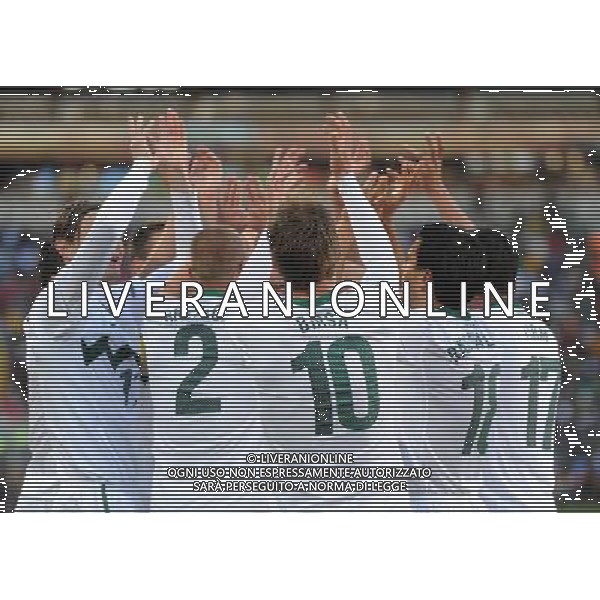 (100618) -- JOHANNESBURG, June 18, 2010 -- Valter Birsa (No. 10) of Slovenia celebrates scoring with his teammates during the 2010 World Cup Group C soccer match between the United States and Slovenia at the Ellis Park stadium in Johannesburg, South Africa, on June 18, 2010. Guo Yong) ©Photoshot/Agenzia Aldo Liverani Sas - ITALY ONLY: SLOVENIA - STATI UNITI (USA) FIFA WORLD CUP CAMPIONATI MONDIALI SUD AFRICA 2010