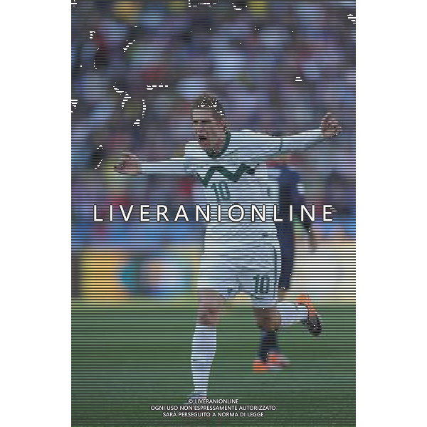 (100618) -- JOHANNESBURG, June 18, 2010 -- Valter Birsa of Slovenia celebrates scoring during the 2010 World Cup Group C soccer match between the United States and Slovenia at the Ellis Park stadium in Johannesburg, South Africa, on June 18, 2010. Guo Yong) (zc) ©Photoshot/Agenzia Aldo Liverani Sas - ITALY ONLY: SLOVENIA - STATI UNITI (USA) FIFA WORLD CUP CAMPIONATI MONDIALI SUD AFRICA 2010