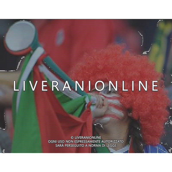 (100618) -- JOHANNESBURG, June 18, 2010 -- A Slovenian supporter cheers prior to the 2010 World Cup Group C soccer match between the United States and Slovenia at the Ellis Park stadium in Johannesburg, South Africa, on June 18, 2010. Wang Yuguo) (zc) (26)SOUTH AFRICA-JOHANNESBURG-WC 2010-GROUP C-THE U.S. VS SLOVENIA ©Photoshot/Agenzia Aldo Liverani Sas - ITALY ONLY: SLOVENIA - STATI UNITI (USA) FIFA WORLD CUP CAMPIONATI MONDIALI SUD AFRICA 2010