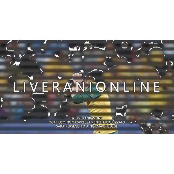 (100619) -- RUSTENBURG, June 19, 2010 () -- Australia\'s Luke Wilkshire reacts during the 2010 World Cup Group D football match against Ghana at Royal Bafokeng stadium in Rustenburg, South Africa, on June 19, 2010. The match tied 1-1. (/Li Ga)(kh) ©Photoshot/Agenzia Aldo Liverani Sas - ITALY ONLY: GHANA - AUSTRALIA FIFA WORLD CUP CAMPIONATI MONDIALI SUD AFRICA 2010